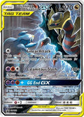Garchomp & Giratina GX (SM193/248) [SM Promos] Holofoil - Promo product image 1, provided for visual reference and product