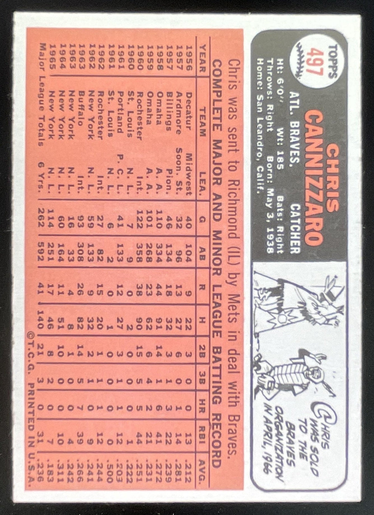1966 Topps #497 Chris Cannizzaro product image 2, provided for visual reference and product detail review