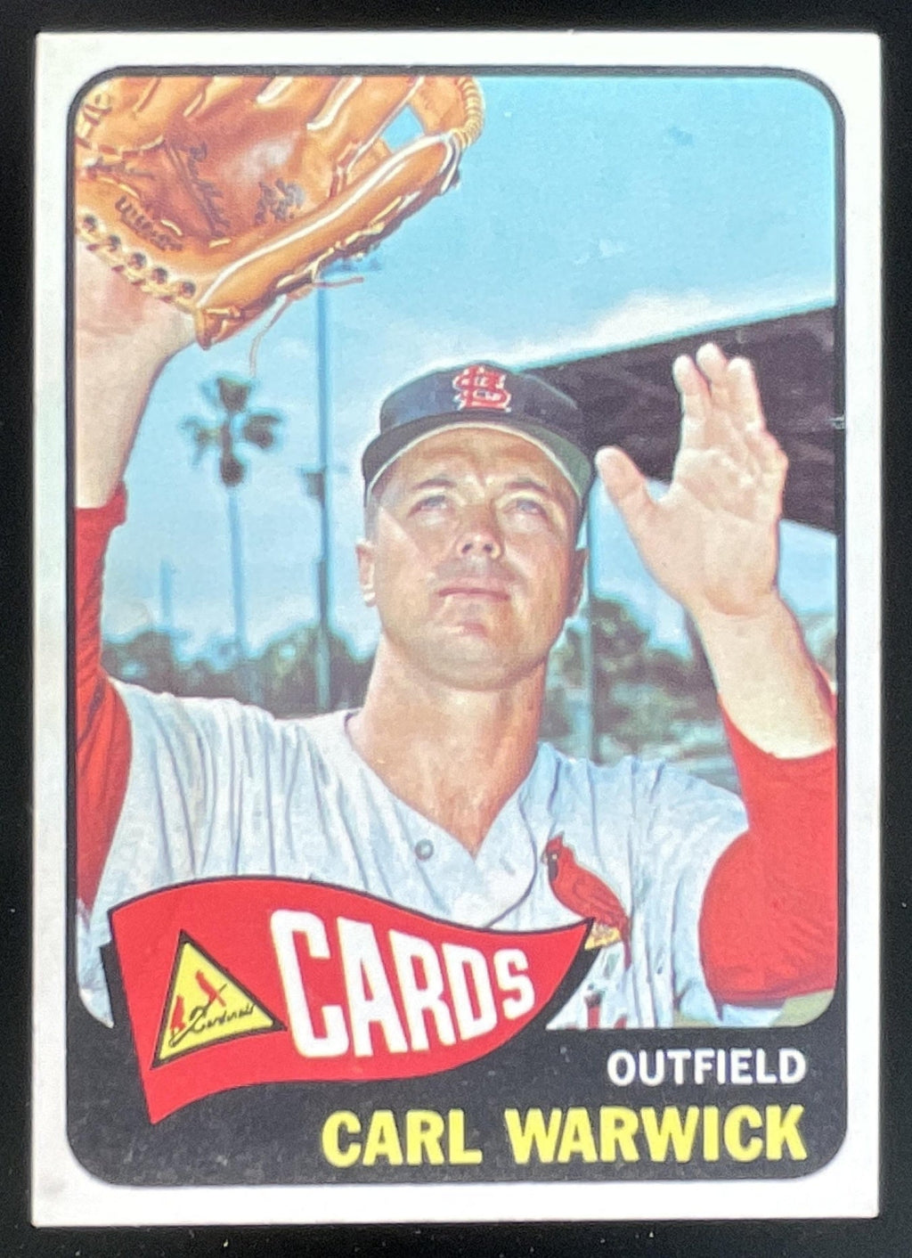 1965 Topps #357 Carl Warwick product image 1, provided for visual reference and product detail review
