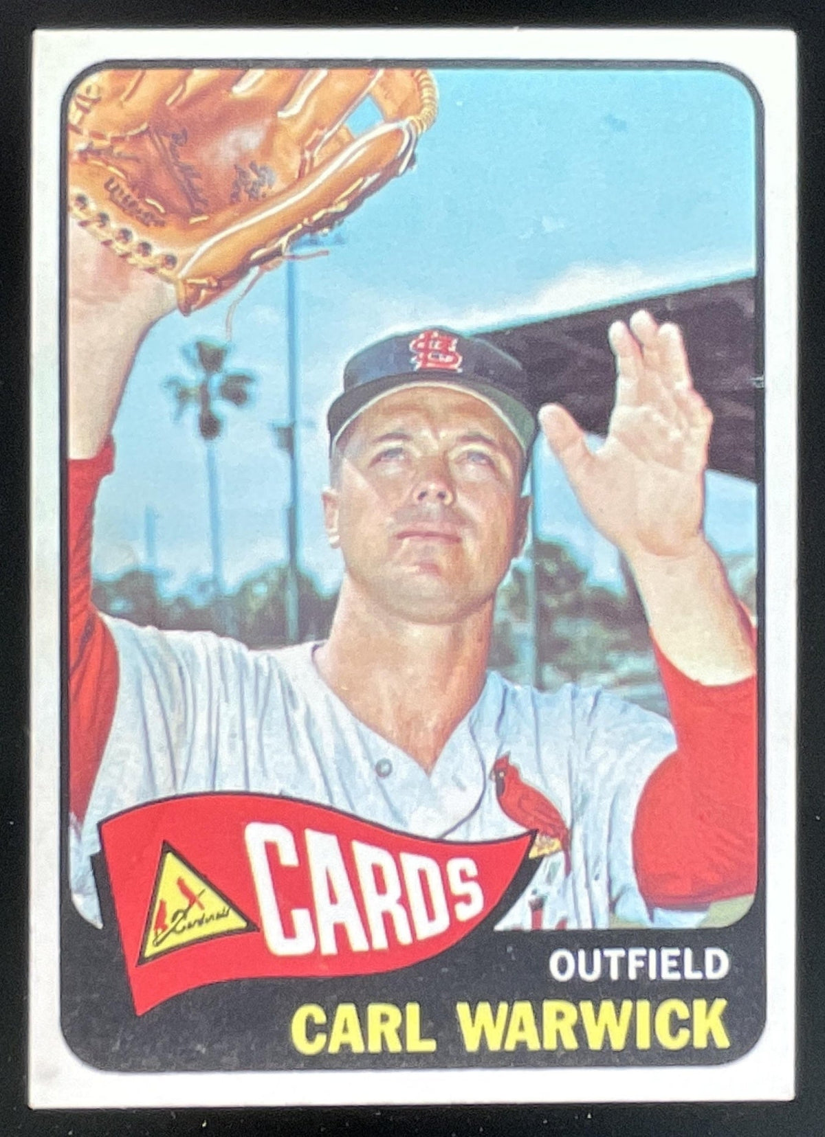 1965 Topps #357 Carl Warwick product image 1, provided for visual reference and product detail review
